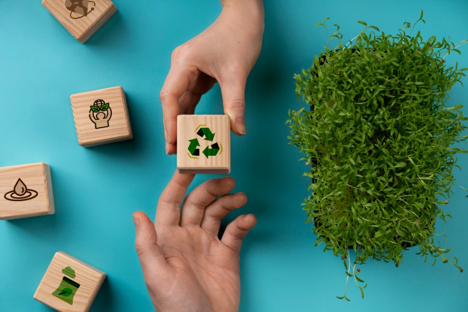 Hands holding a young plant representing sustainable social impact