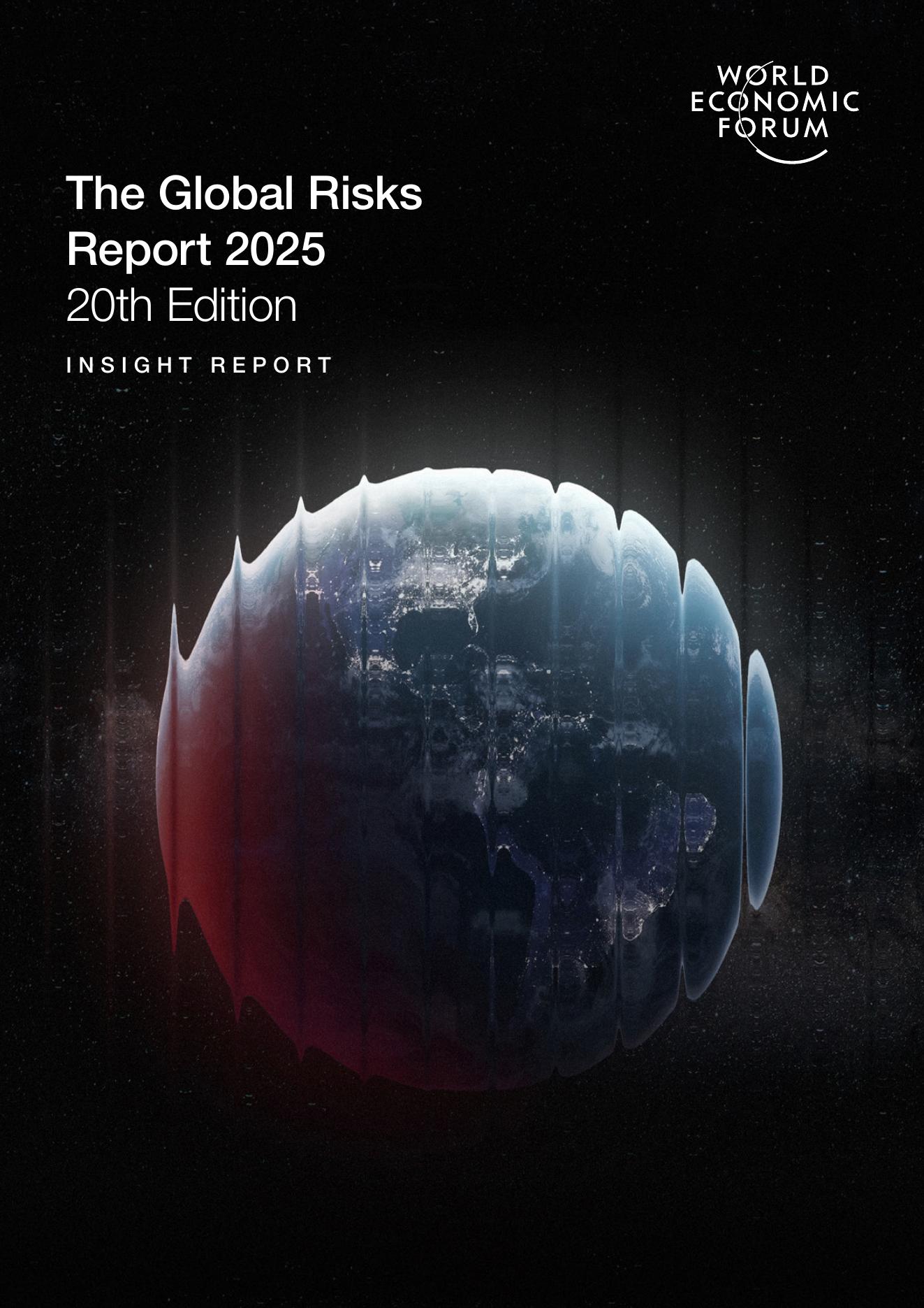 Global Risks Report 2025 cover